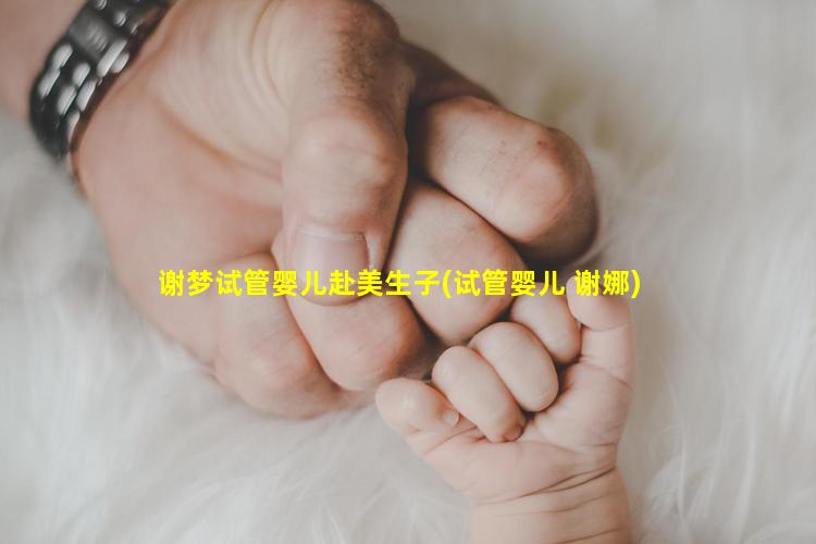 谢梦试管婴儿赴美生子(试管婴儿 谢娜)